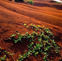 虚幻5.1沙丘沙漠场景演示版推出 4090被榨干